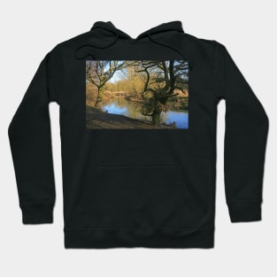 Millhams Mead, February 2021 Hoodie